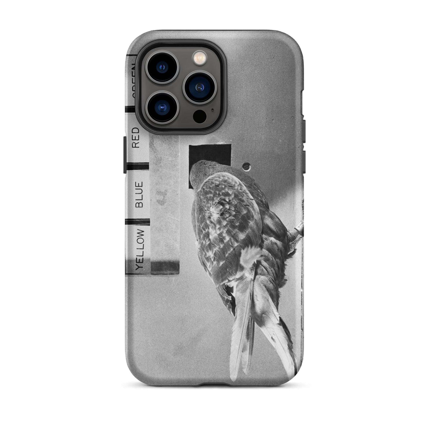 Skinner Box Pidgeon - Tough iPhone case - Souled Out World