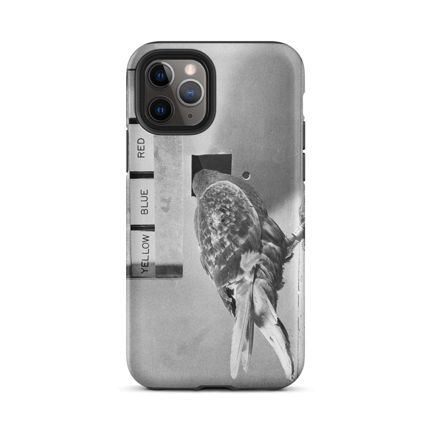 Skinner Box Pidgeon - Tough iPhone case - Souled Out World