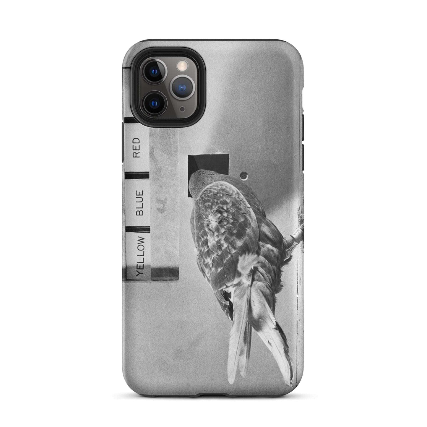 Skinner Box Pidgeon - Tough iPhone case - Souled Out World