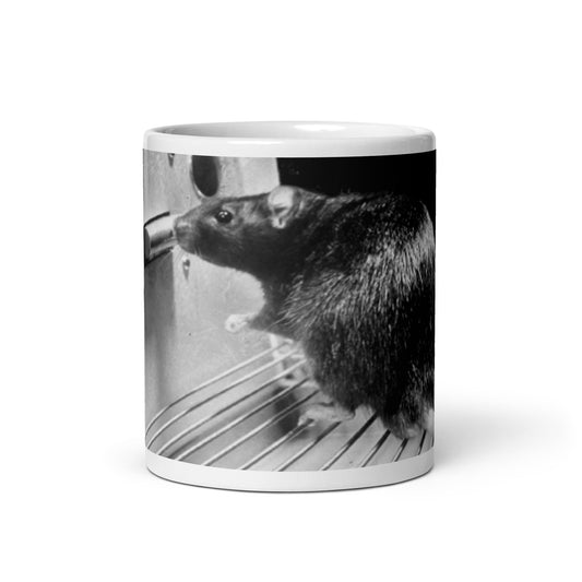 Skinner Box Rat - glossy mug - Souled Out World